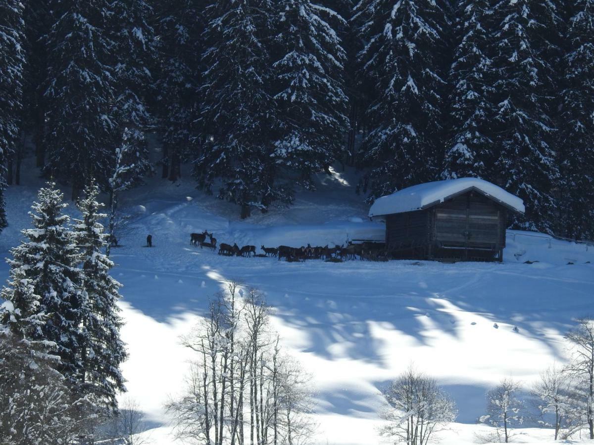 Blockhaus Ganschitter Apartman Grossarl Kültér fotó